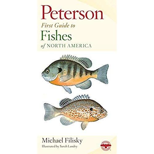 Peterson First Guide To Fishes Of North America