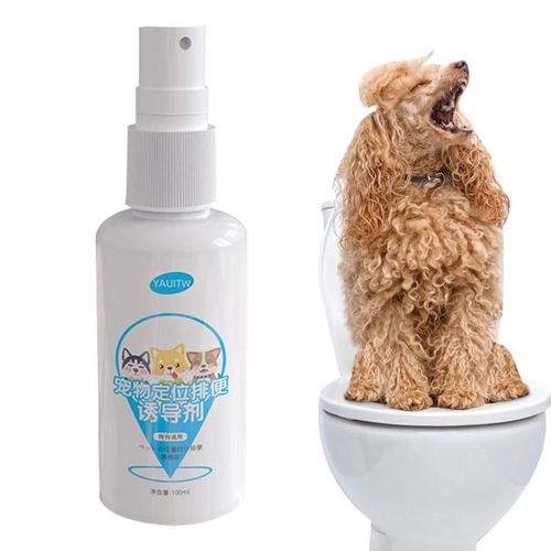 Go Here-Spray Anti Pipi Pour Chiens, Spray Attractif Pour Chien, Spray Sûr Pour L'entraînement Des Chiots, Spray Pour Animal De Compagnie, Intérieur Et Extérieur, 100ml