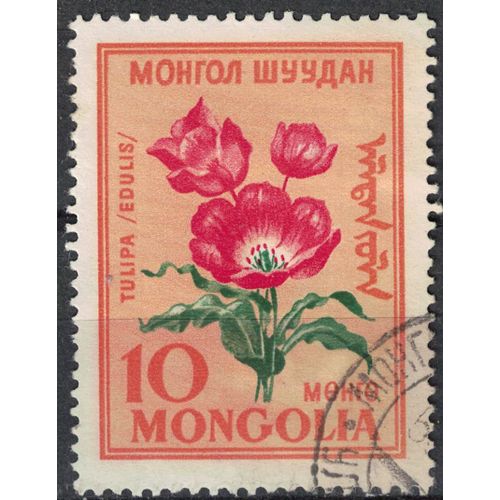 Mongolie 1960 Oblitéré Used Fleurs Tulipa Edulis Amana Su