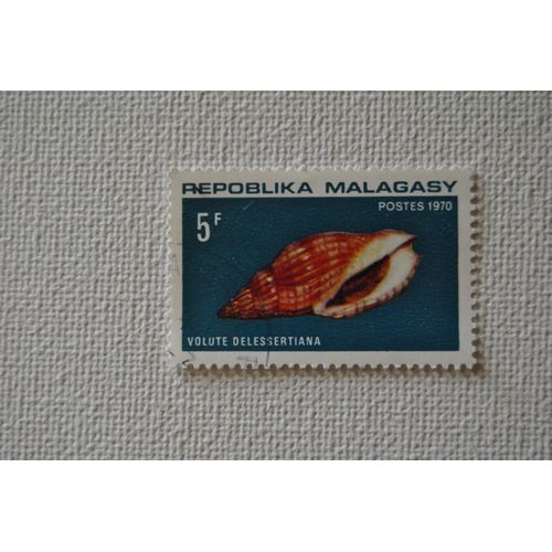 Timbre, Madagascar, 1970, Coquillage N° Mi 619