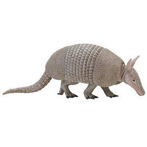 Safari Ltd Incredible Creatures Armadillo