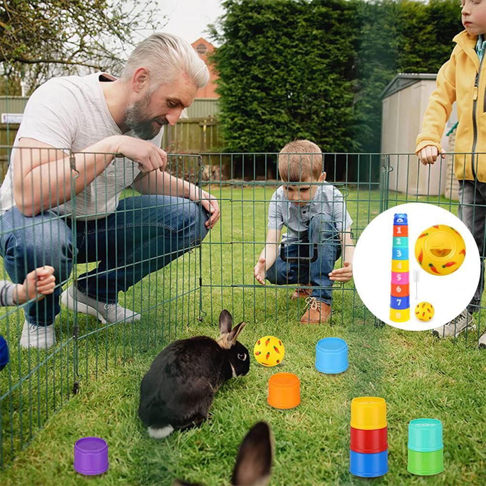 Jouets Empilables Interactifs Pour Petits Animaux De Compagn... - 3