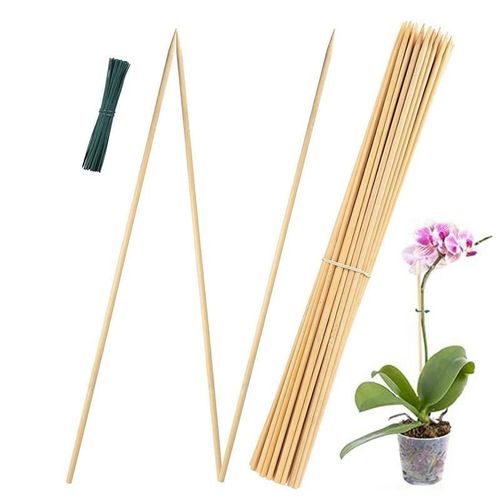 Bâtons De Support De Plantes En Bambou, Poteaux De Support De Pot De Fleur, Plantes En Pot Naturelles, Intérieur Et Extérieur, 17 Po, 50 Pièces