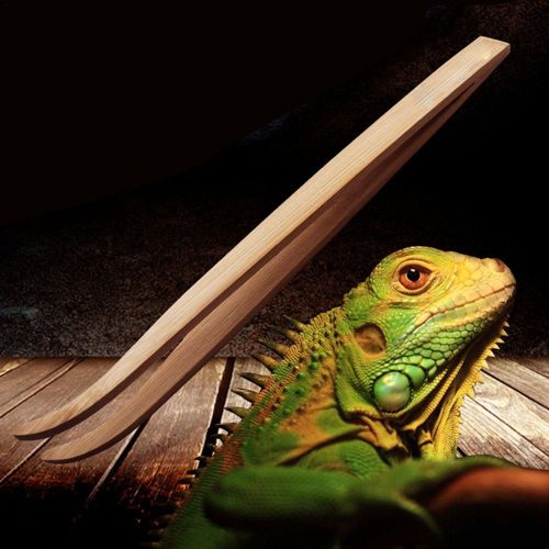 Pince À Épiler Longue Pour Reptiles, Super Pinces, Outils D'alimentation, Bois, Bambou, Grenouille, Araignée, Serpent, Insecte, Litière, Terrarium, Livres, Alimentation 
