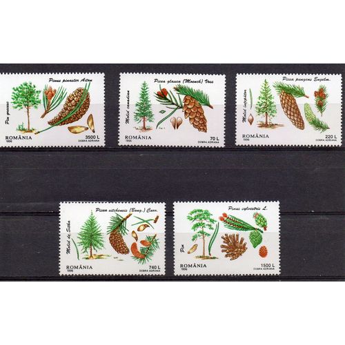 Roumanie- Lot De 5 Timbres Neufs- Arbres