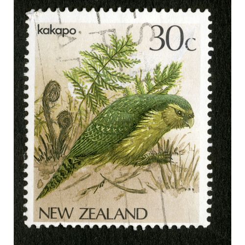 Timbre Oblitéré New Zealand, Kakapo, 30c