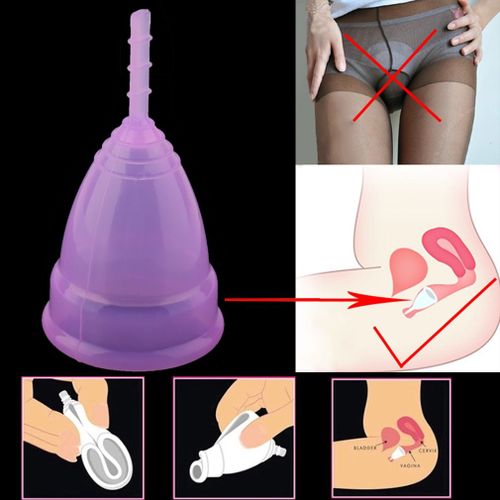 Cup Coupe Menstruelle Femme Hygiène Féminine Haute Qualité Médicale Règle Ecolo Violet Petit (S) 