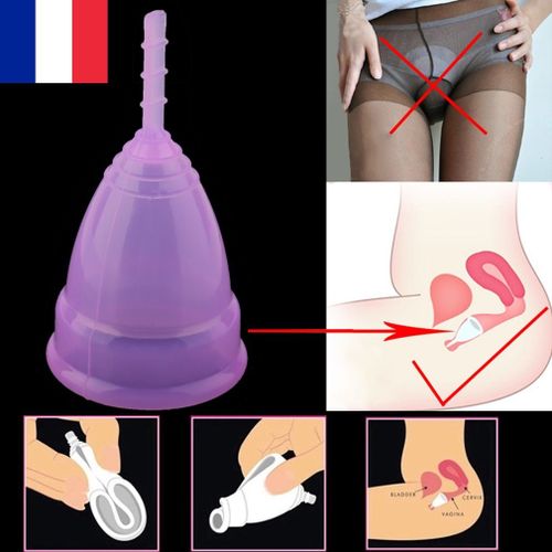 Cup Coupe Menstruelle Femme Hygiène Féminine Haute Qualité Médicale Règle Ecolo Violet Grand (L) 