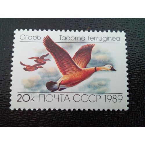 Timbre Russie / Urss Yt 5643 1989 ( 10304 )