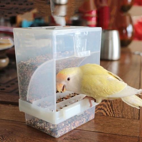 1pc Mangeoire Pour Oiseaux En Acrylique Transparent Avec Ventouse