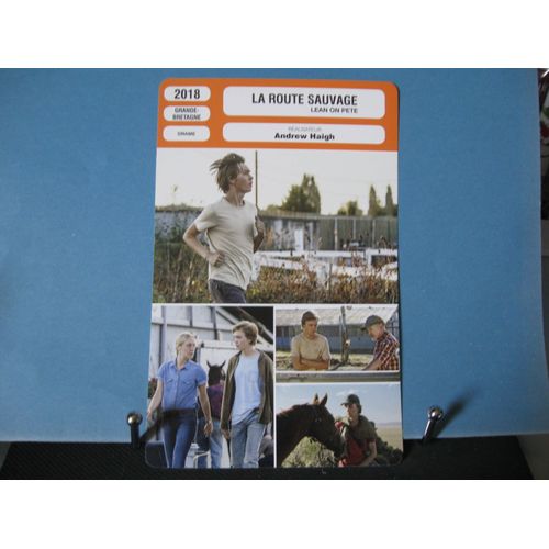 Fiche Monsieur Cinéma - La Route Sauvage (Lean On Pete) - 2018