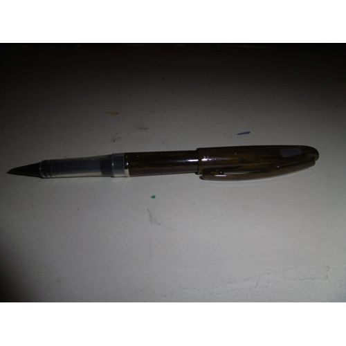 Stylo Plume Encre Liquide Tradio Pentel Ton Bois Trj70