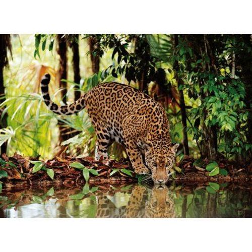 Puzzle Adulte - Le Leopard Dans La Jungle - 2000 Pieces - Collection Animaux Sauvages - Clementoni