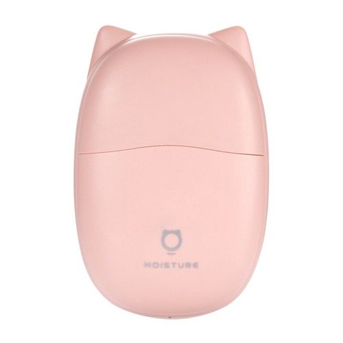 Mini Humidificateur Portatif Usb Rechargeable Pulverisateur Facial Beaute Hydratant Eau Brumisateur Fabricant Portable Diffuseur Eau Reconstituer Ski