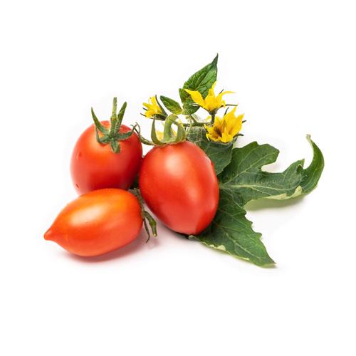 Lingot® mini Tomate rouge - Compatible Véritable® Potager