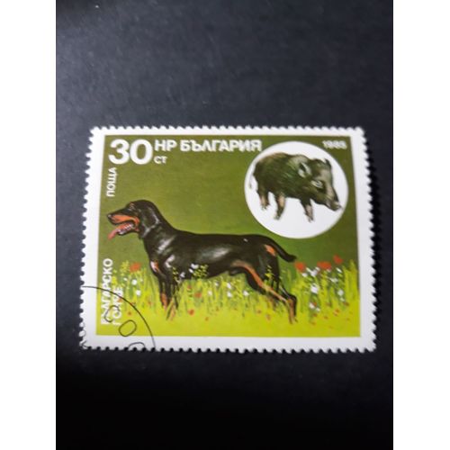 Timbre Chien De Chasse Tp16