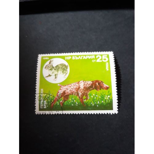 Chien De Chasse Timbre Bulgarie Tp16