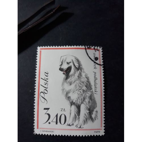 Chien Dog Timbre Pologne Tp16