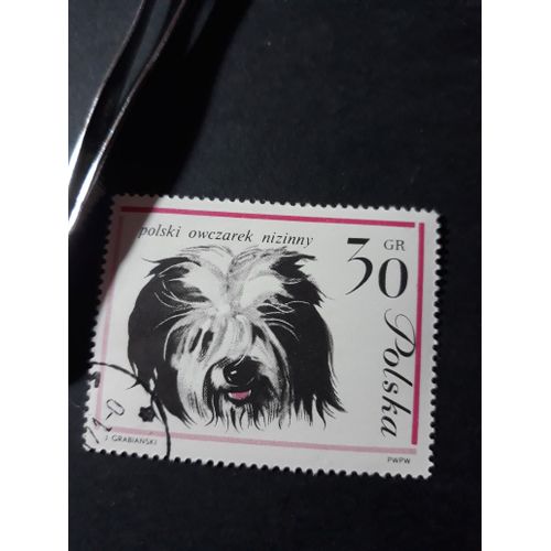Chien Dog Timbre Pologne Tp16