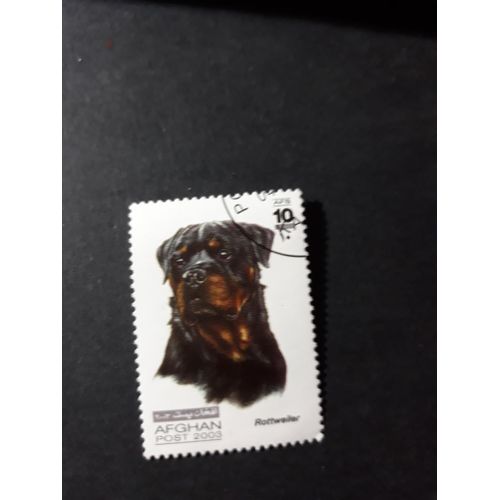 Chien Dog Timbre Afghanistan Afghan Tp16