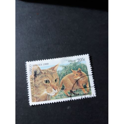 Chat Cat Timbre
