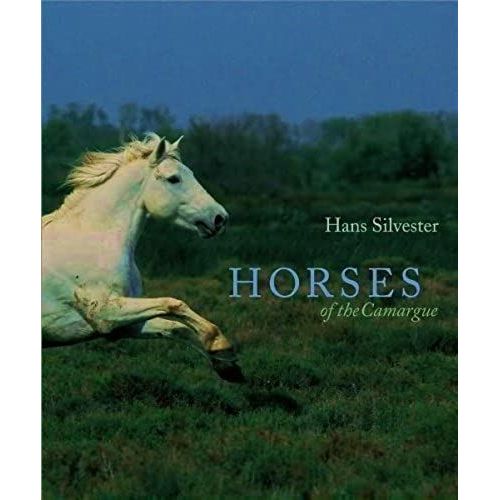 Horses Of The Camargue