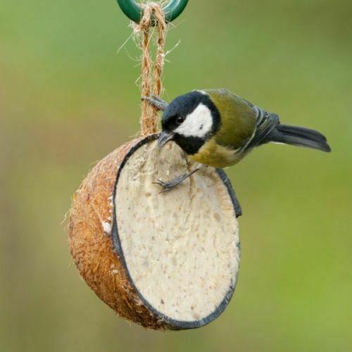 Gateau De Graines Pour Oiseaux Énergétique. Bloc De Graines Boule De Graisse Savoureuses Cereales, Huile, Graisses, Mineraux, Insectes. Top Aliment Complément Nourriture