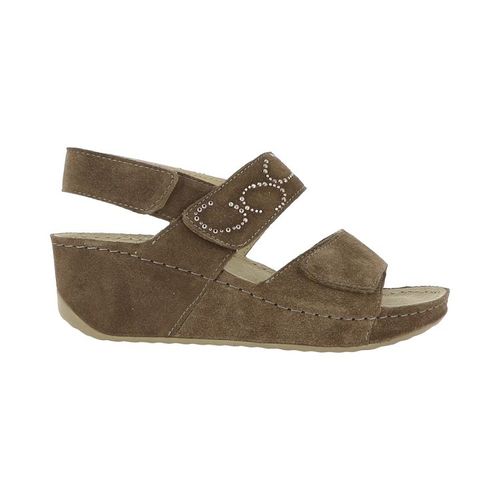 Sandales Scholl Aberdeen Wedge - 38