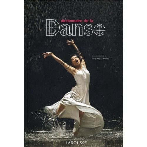 Dictionnaire De La Danse