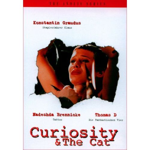 Curiosity & The Cat