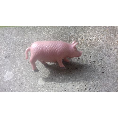 Cochon En Plastique