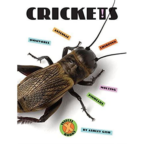 Crickets