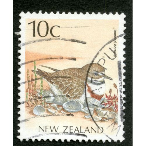 Timbre Oblitéré New Zealand, Banded Dotterel, 10c