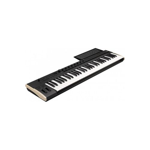 Korg - Clavier Maître 61 Touches Aftertouch Polyphonique Et Midi 2.0