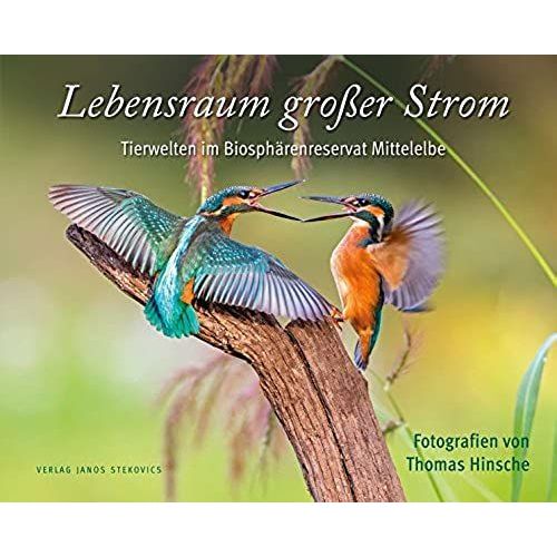 Lebensraum Großer Strom