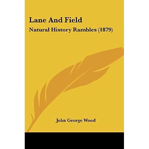 Lane And Field