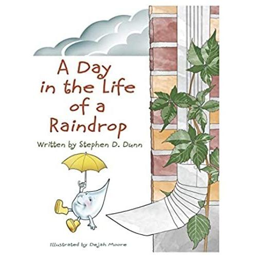 A Day In The Life Of A Raindrop