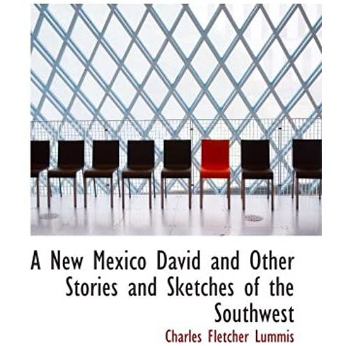 A New Mexico David And Other Stories And Sketches Of The Southwest