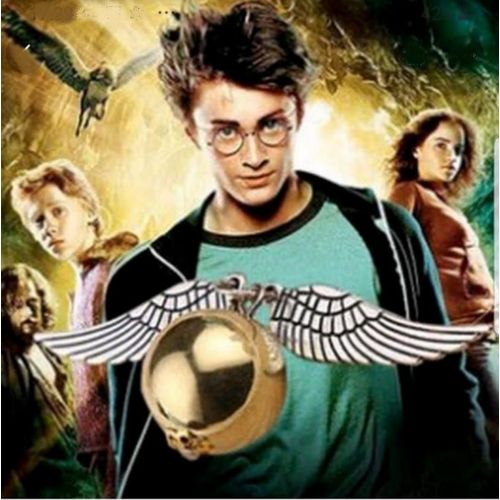 Pendentif & Sa Chaine Assortie Harry Potter