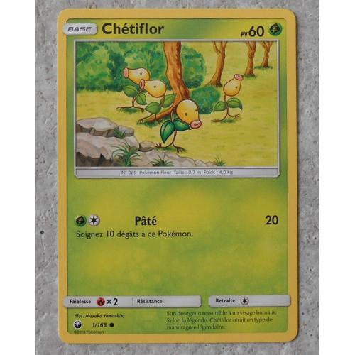 Chetiflor 1/168 + Boustiflor 2/168 - Sl7 - Tempête Celeste - Vf