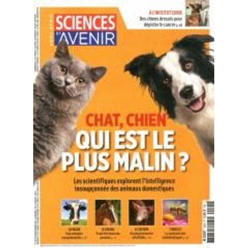 Sciences Et Avenir 195h Chat Chien Qui Est Le Plus Malin