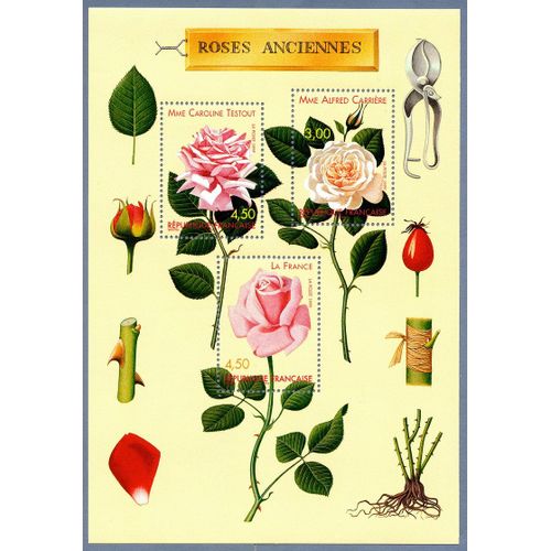 Bloc-Feuillet De 1999 Congrès Mondial Des Roses Anciennes