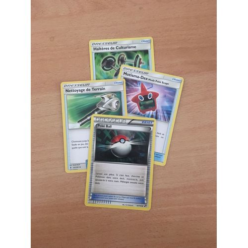 (1691) Poke Ball + Nettoyage De Terrain + Motisma Dex + Haltères De Culturisme (Pokemon)