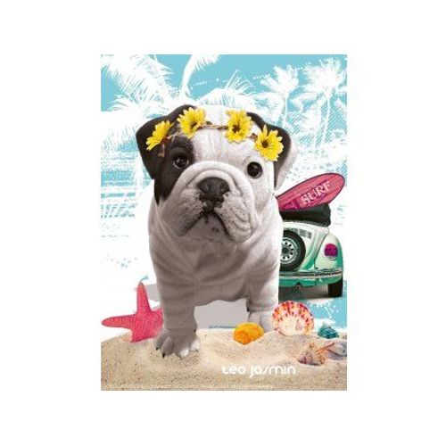 Puzzle Chien Teo Jasmin California - 500 Pieces - Nathan Collection Animaux Photo D Art
