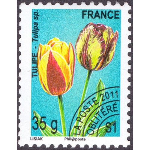 Timbre Tulipe - Tulipa Sp.Lisiak