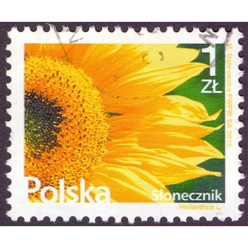 Timbre Slonecznik Polska 1 Zl