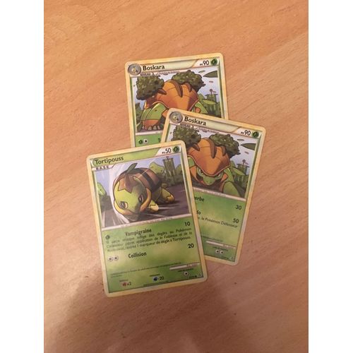 (1519) 2x Boskara + Tortipouss (Pokemon)