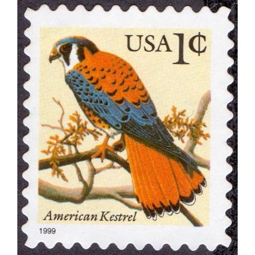 Timbre American Kestrel