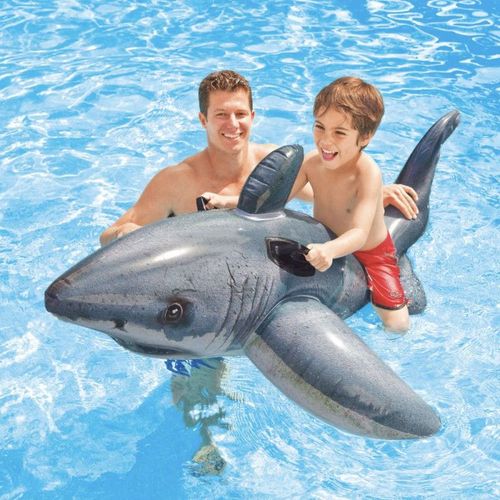 Requin Blanc A Chevaucher