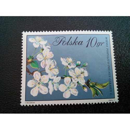 Timbre Pologne Yt 1979 Prunus Cerasus 1971 ( 20404 )